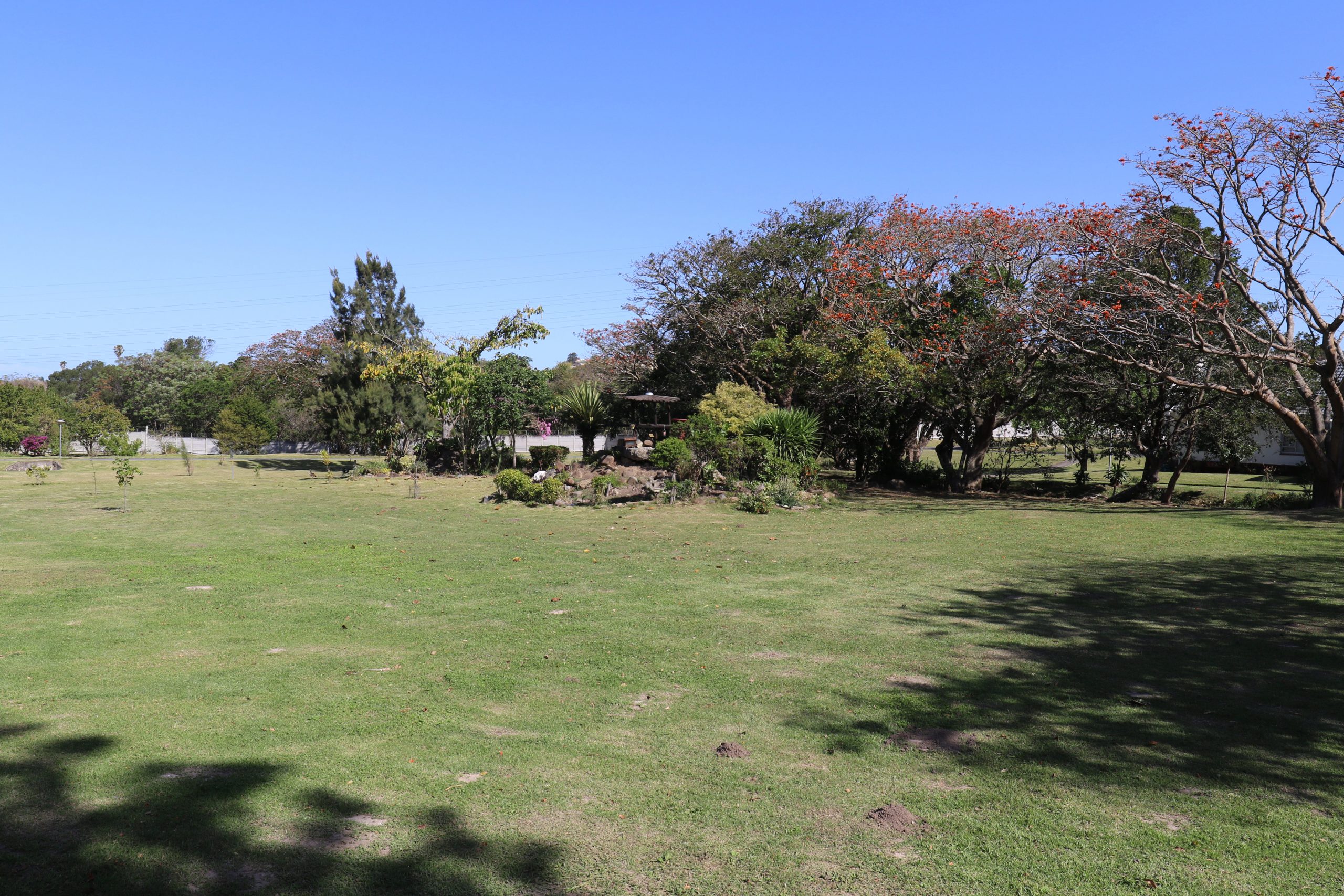 Garden Views